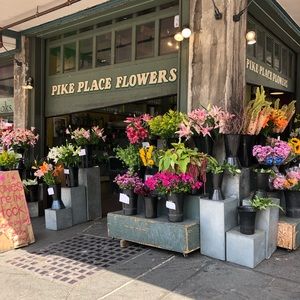 Meet your Posher, Daniella